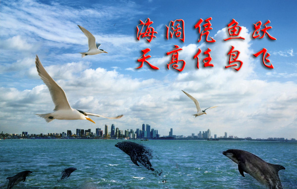 寸照